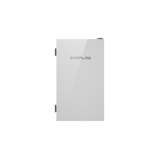 Smart Home Panel 2 de ECOFLOW para Transferencia Automática de Energía, Compatible con EFDPUBP