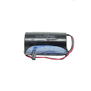 Bateria de 3.6V a 19Ah para ALESWS