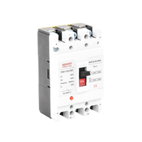 Protección Térmica/ Interruptor 3P, 100A,  Corriente Alterna  690 V CA Trifásica.