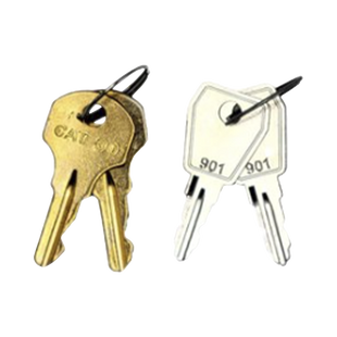 Kit De Llaves De Repuesto y Acceso Para Gabinetes FireNet, FireNet Plus y FireNet L@titude (0100-03380)