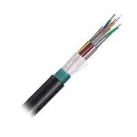 Cable de Fibra Óptica de 6 hilos, OSP (Planta Externa), Armada, 250um, Monomodo OS2, Precio Por Metro