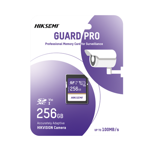 Memoria SD Clase 10 de 256 GB / Especializada Para Videovigilancia
