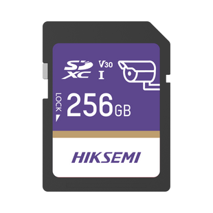 Memoria SD Clase 10 de 256 GB / Especializada Para Videovigilancia