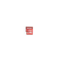 Memoria microSD / Clase 10 de 128 GB / Especializada Para Videovigilancia (Uso 24/7) / Compatibles con cámaras HIKVISION y Otras Marcas / 95 MB/s Lectura / 50 MB/s Escritura