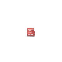 Memoria microSD / Clase 10 de 128 GB / Especializada Para Videovigilancia (Uso 24/7) / Compatibles con cámaras HIKVISION y Otras Marcas / 95 MB/s Lectura / 50 MB/s Escritura