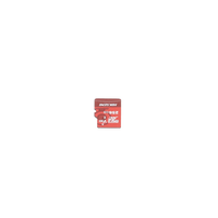 Memoria microSD / Clase 10 de 256 GB / Especializada Para Videovigilancia (Uso 24/7) / Compatibles con cámaras HIKVISION y Otras Marcas / 95 MB/s Lectura / 55 MB/s Escritura