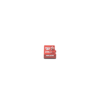 Memoria microSD / Clase 10 de 256 GB / Especializada Para Videovigilancia (Uso 24/7) / Compatibles con cámaras HIKVISION y Otras Marcas / 95 MB/s Lectura / 55 MB/s Escritura