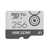 Memoria MicroSD / Clase 10 de 256 GB / Especializada Para Videovigilancia Movil (Uso 24/7) / Soporta Altas Temperaturas / 95 MB/s Lectura / 55 MB/s Escritura