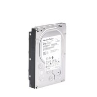 Disco Duro Enterprise 4 TB / Wester Digital (WD) / Serie Ultrastar / Recomendado para Data Center y NVRs de Alta Capacidad / Alto Performace