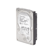 Disco Duro Enterprise 8 TB / Wester Digital (WD) / Serie Ultrastar / Recomendado para Data Center y NVRs de Alta Capacidad / Alto Performace