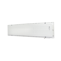 Panel LED Rectangular Empotrado o Suspendido /1195 x 295 mm / 127 Vca~60Hz / TC 6 500 K / Angulo de Luz de 140°