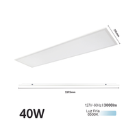 Panel LED Rectangular Empotrado o Suspendido /1195 x 295 mm / 127 Vca~60Hz / TC 6 500 K / Angulo de Luz de 140°