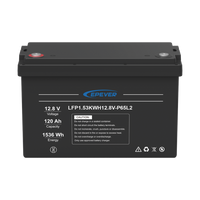 Batería de Litio LiFePO4 Ciclo Profundo 12.8Vcc, 120 Ah, 1.53Kwh, para Exterior, Libre de Mantenimiento