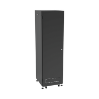 Gabinete para Telecomunicaciones Rack Estándar de 19", 42UR, 600 mm Ancho x 600 mm Profundidad. Fabricado en Acero, Se envía el Gabinete Armado.