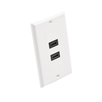 Placa de Pared de 2 Puertos HDMI Hembra a Hembra