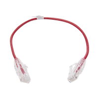 Cable de Parcheo Slim UTP Cat6 - 30 cm Rojo Diámetro Reducido (28 AWG)