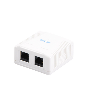 Caja de Pared con 2 Puertos, Incluye 2 Jacks UTP Cat6A