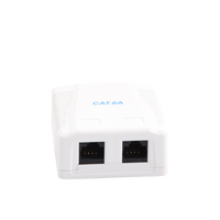 Caja de Pared con 2 Puertos, Incluye 2 Jacks UTP Cat6A