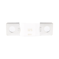Mega Fuse 125A / 80V