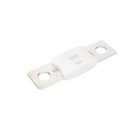 Mega Fuse 225A / 80V