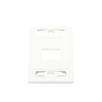 Placa de Pared Modular MAX, de 2 Salidas, Color Blanco, Versión Bulk (Sin Empaque Individual)