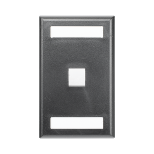 Placa de Pared Vertical, Salida Para 1 Puerto Keystone, Con Espacios Para Etiquetas, Color Negro