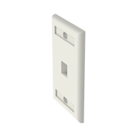 Placa de Pared Vertical, Salida Para 1 Puerto Keystone, Con Espacios Para Etiquetas, Color Blanco Mate
