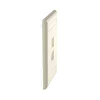 Placa de Pared Vertical, Salida Para 2 Puertos Keystone, Con Espacios Para Etiquetas, Color Marfil