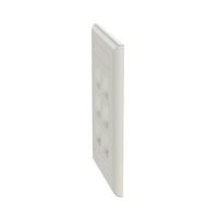 Placa de Pared Vertical, Salida Para 6 Puertos Keystone, Con Espacios Para Etiquetas, Color Blanco Mate