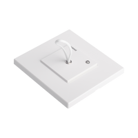 Modulo de Pared para Tirador de Baño para Hospital con LED Indicador / Compatible con NX0019/B, NX0015 y NX1021