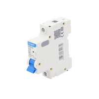 Pastilla para Riel Din, 1 Polo, 32 Amp, Vca:110/415v, 6kA, Catálogo: NXB631PC32.