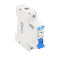 Pastilla para Riel Din, 1 Polo, 6 Amp, Vca:110/415v, 6kA, Catálogo: NXB631PC6.