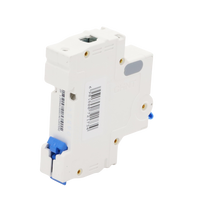 Pastilla para Riel Din, 1 Polo, 6 Amp, Vca:110/415v, 6kA, Catálogo: NXB631PC6.