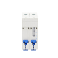 Pastilla para Riel Din, 2 Polos, 10 Amp, Vca:110/415v, 6kA, Catálogo: NXB632PC10.