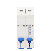 Pastilla para Riel Din, 2 Polos, 16 Amp, Vca:110/415v, 6kA, Catálogo: NXB632PC16.