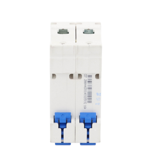 Pastilla para Riel Din, 2 Polos, 16 Amp, Vca:110/415v, 6kA, Catálogo: NXB632PC16.