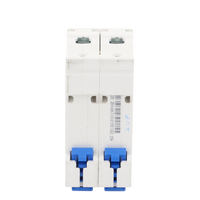 Pastilla para Riel Din, 2 Polos, 20 Amp, Vca:110/415v, 6kA, Catálogo: NXB632PC20.