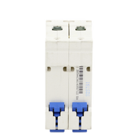 Pastilla para Riel Din, 2 Polos, 32 Amp, Vca:110/415v, 6kA, Catálogo: NXB632PC32.
