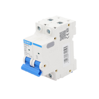 Pastilla para Riel Din, 2 Polo, 63 Amp, Vca:110/415v, 6kA, Catálogo: NXB632PC63.