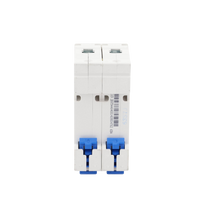 Pastilla para Riel Din, 2 Polo, 63 Amp, Vca:110/415v, 6kA, Catálogo: NXB632PC63.