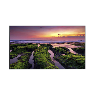 Pantalla Profesional LED de 75", UHD 4K (3840x2160p), Entradas de Video HDM, Bocinas Integradas de 10 W. Compatible VESA / compatible con Magic Info