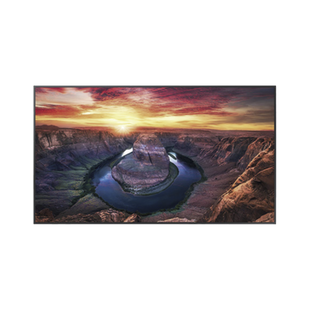 Pantalla Profesional LED de 50", UHD 4K (3840x2160p), Entradas de Video HDMI/DisplayPort / USO 24/7 / Compatible VESA / Compatible con software MagicInfo