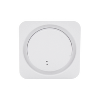 (RadioRa3) Controlador HUB principal para Radio RA3, soporta hasta 200 dispositivos