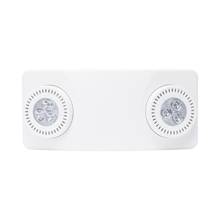 Luz de Emergencia Dual LED /520lm/uso rudo/montaje en pared o techo/batería de respaldo incluida