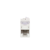 Jack Ultramax Cat6, UTP, Montaje Híbrido en Placa de Pared (Plano y Angulado), Color Blanco, Punch Down