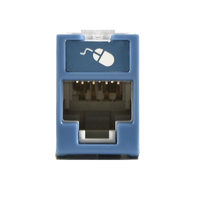 Jack UltraMAX Cat6, UTP, Montaje híbrido en Placa de Pared (Plano y Angulado), Color Azul, Punch Down