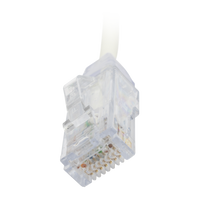 Cable de Parcheo TX6, UTP Cat6, Diámetro Reducido (28AWG), Color Blanco, 20.32 cm (8 Pulgadas)