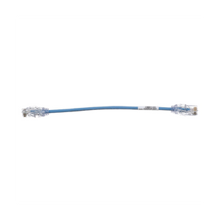 Cable de Parcheo TX6, UTP Cat6, Diámetro Reducido (28AWG), Color Azul, 20.2 cm (8 Pulgadas)