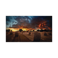 Pantalla Profesional LED de 55" para Video Wall, Full HD (1080p), HDMI/DVI-D/DP, Bisel Ultra Delgado de 2.3mm. Compatible VESA