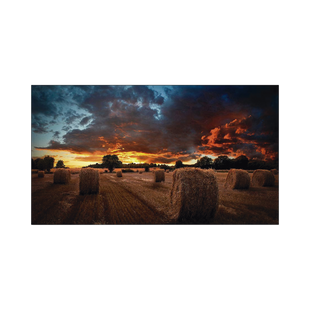 Pantalla Profesional LED de 55" para Video Wall, Full HD (1080p), HDMI/DVI-D/DP, Bisel Ultra Delgado de 2.3mm. Compatible VESA